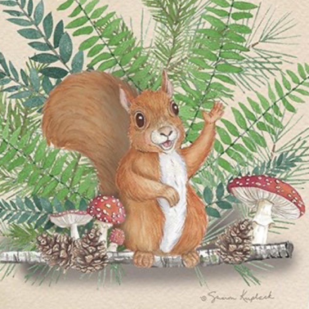 Squirrel Mushroom Birthday Greeting Card, New, For Bundles Only ๐๐ฟ๏ธ - Picture 7 of 7